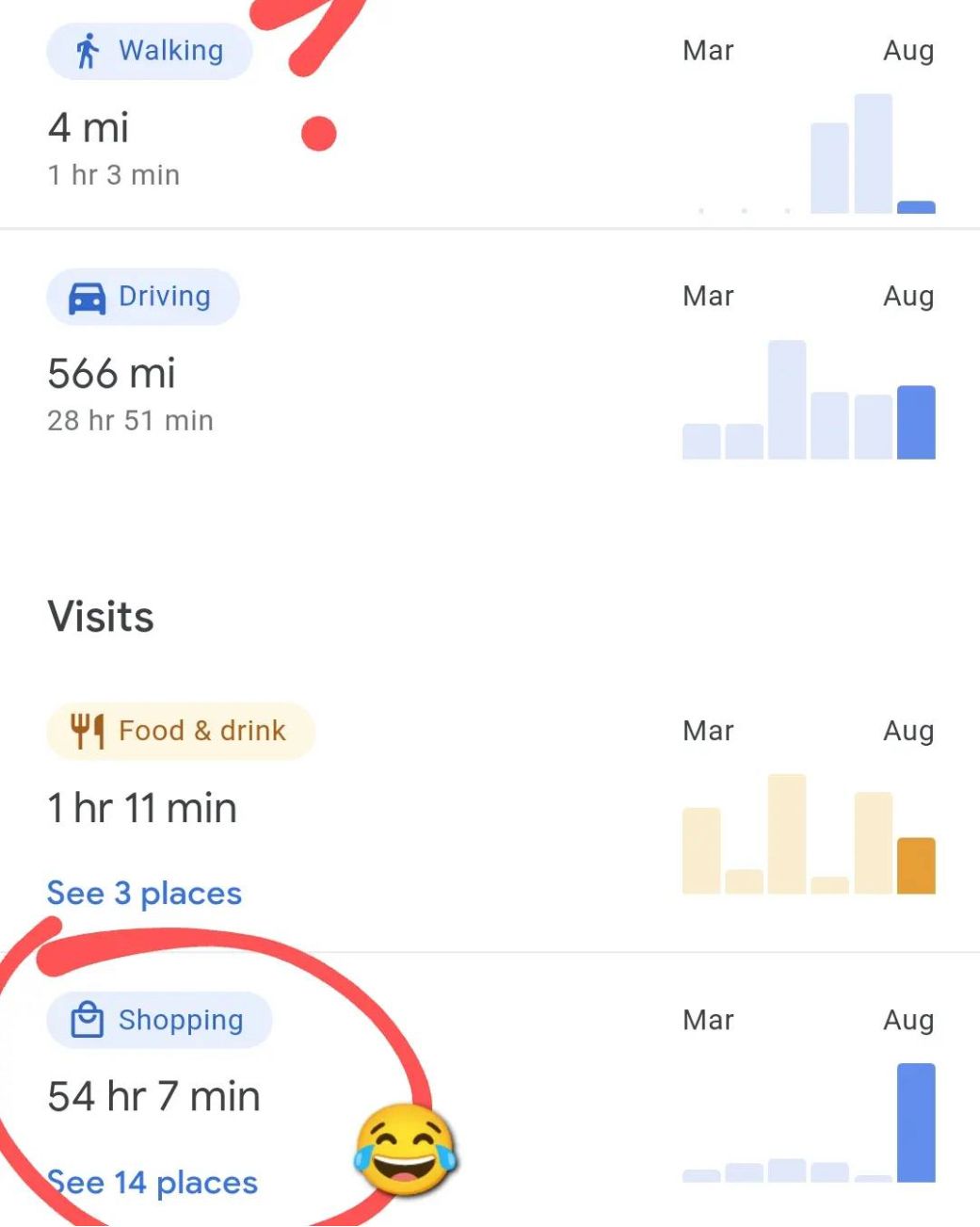 Google Metrics: 54 hours "shopping"